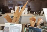 Minus 11 - Máriaremete Budapest