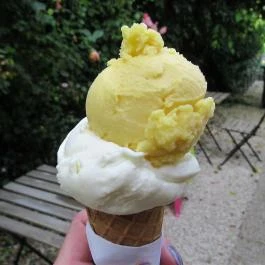 Minus11 - Római-part Budapest - Étel/ital