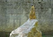 Miskolci Állatkert Miskolc