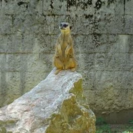 Miskolci Állatkert, Miskolc - 