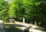 Miskolci Állatkert Miskolc