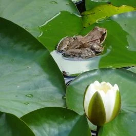 Miskolci Állatkert, Miskolc - 