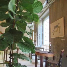 Mitzi. - Kortárs Kávéház & Bár Budapest - Belső