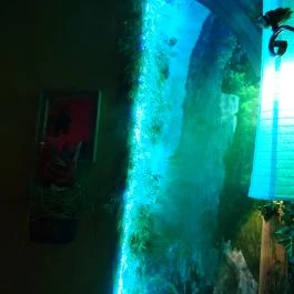 Mix Garden Teaház Budapest - Belső