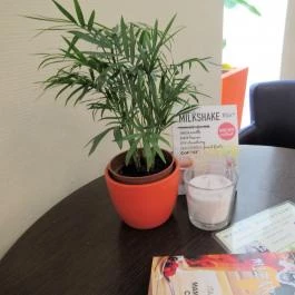 Mizaru Mambou Caffe, Budapest - Egyéb