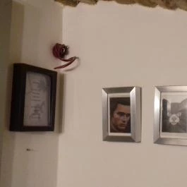 Mjam Szentendre - Belső