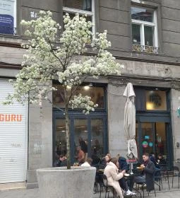 Ha Mo Ázsiai Bisztró