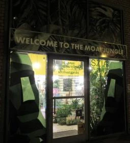 Moai Jungle