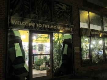 Moai Jungle Budapest
