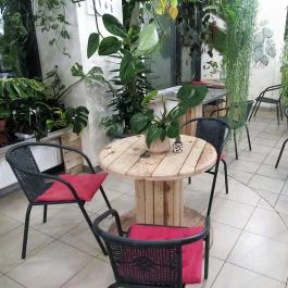 Moai Jungle Budapest - Egyéb