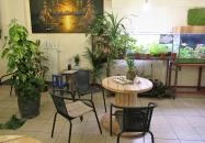 Moai Jungle Budapest