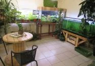 Moai Jungle Budapest