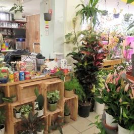 Moai Jungle Budapest - Egyéb