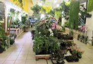 Moai Jungle Budapest