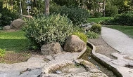 Mőcsényi Mihály botanikus kert, Budapest