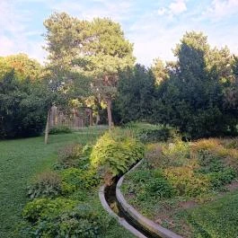 Mőcsényi Mihály botanikus kert, Budapest - Külső kép