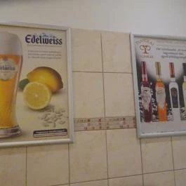 Mókus Sörkert - Étterem & Terasz Budapest - Belső