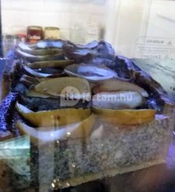 Mókusch Café & Deli