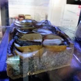 Mókusch Café & Deli Budapest - Étel/ital