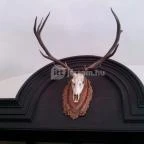 Momotaro Ramen Budapest - Egyéb