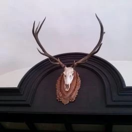 Momotaro Ramen, Budapest - Egyéb