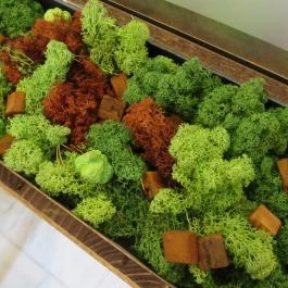 Mona Bar & Restaurant Budapest - Belső