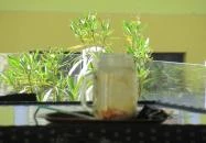 Monaco Kávézó & Delikátesz Komárom