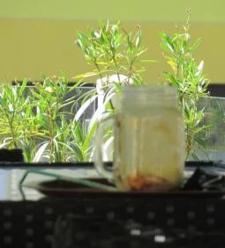 Monaco Kávézó & Delikátesz