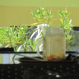 Monaco Kávézó & Delikátesz Komárom - Egyéb