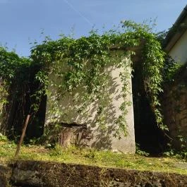 Monori Pincefalu, Monor - Egyéb