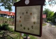 Monori Pincefalu Monor