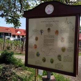 Monori Pincefalu, Monor - Egyéb