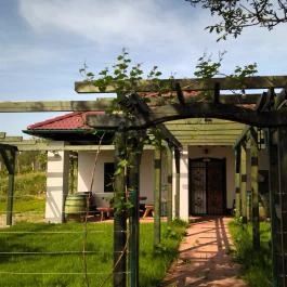 Monori Pincefalu, Monor - Egyéb