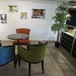 Montázs Art Café Budapest - Belső