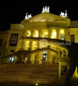 Móra Ferenc Múzeum