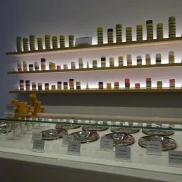 Moritz Eis - Hollán Ernő utca Budapest - Belső