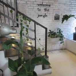 Moto Pizza Budapest - Egyéb