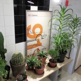 Moto Pizza - József körút Budapest - Egyéb