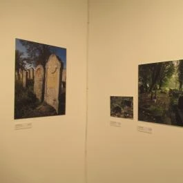 Műcsarnok Budapest - Egyéb