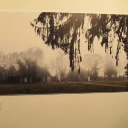 Műcsarnok Budapest - Egyéb