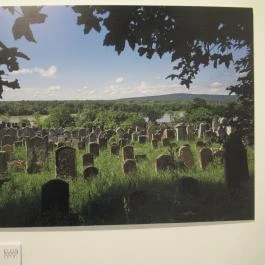 Műcsarnok Budapest - Egyéb