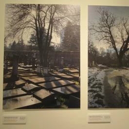 Műcsarnok Budapest - Egyéb