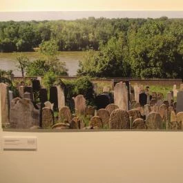 Műcsarnok Budapest - Egyéb