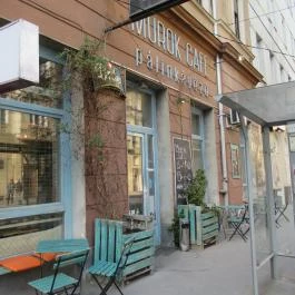 Murok Café Budapest - Egyéb
