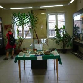 Művelődési Ház és Bányászati Kiállítóhely, Recsk - 