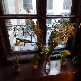 Művész Kávéház & Cukrászda Budapest - Belső