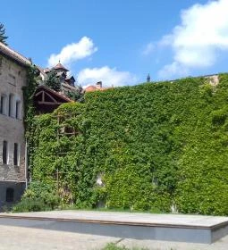 MűvészetMalom - Ferenczy Múzeumi Centrum