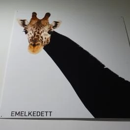 MűvészetMalom - Ferenczy Múzeumi Centrum, Szentendre - 