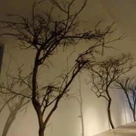 MűvészetMalom - Ferenczy Múzeumi Centrum, Szentendre - 