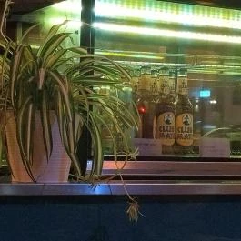 MŰVHÁZ Kávézó Budapest - Egyéb